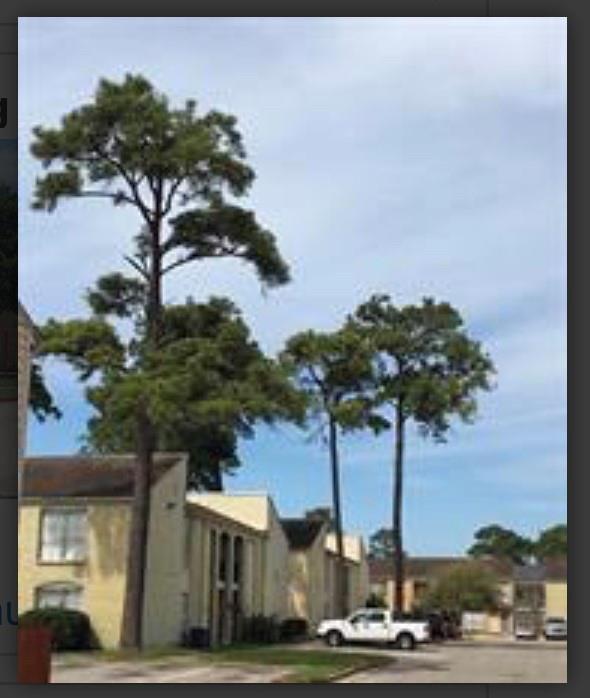 Foto del edificio - 6200 W Tidwell Rd