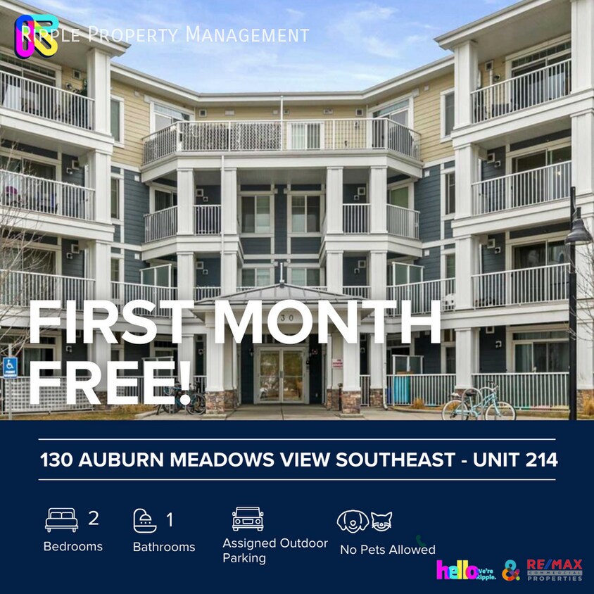 Photo principale - Modern 2 Beds, 1 Baths Apartment/Condo | N...