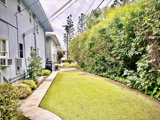 Backyard - 1729 Raymond Hill Rd