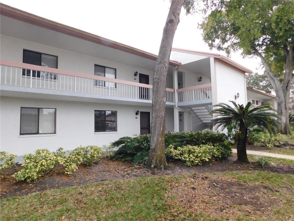 141 Lakeview Way, Oldsmar, FL 34677 Condo for Rent in Oldsmar, FL