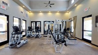 This fitness center is designed to accommodate a comprehensive workout experience within a single, open-plan space. The room features notably high ceilings with a raised tray detail, enhancing the sense of openness and airflow, aided by a large ceiling fan centrally positioned overhead. Recessed lighting provides consistent, even illumination throughout.

The space is outfitted with a range of equipment, including elliptical trainers and treadmills for cardiovascular exercise, as well as a multi-station cable and weight machine for full-body strength training. An adjustable weight bench with attachments adds further versatility for resistance workouts. The flooring consists of durable, textured carpeting suited for a fitness environment.

Natural light enters through multiple windows dressed with neutral curtains, as well as glass-paneled double doors that open to an adjacent area, contributing to a bright and welcoming atmosphere. Large mirrors along one wall enhance the sense of space and allow users to monitor their form. The overall ambiance is clean, functional, and well-maintained, making it a practical and inviting facility for daily exercise.