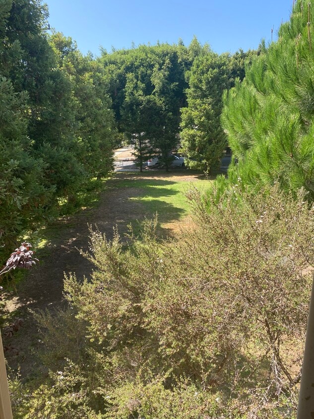 View from apartment - 2445 Arizona Ave