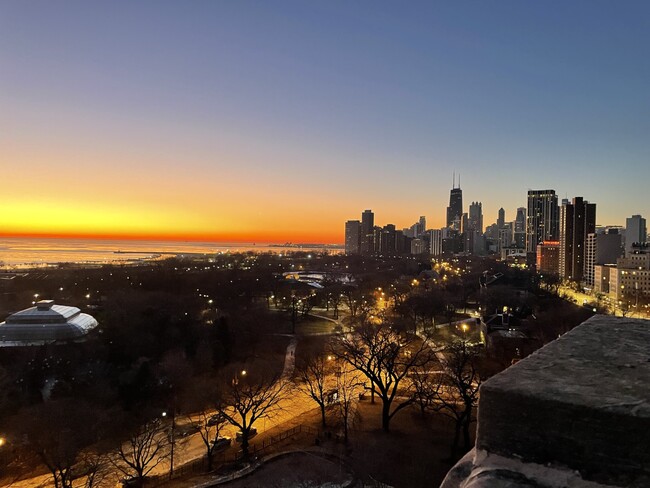 Foto del edificio - The Nest at Lincoln Park West