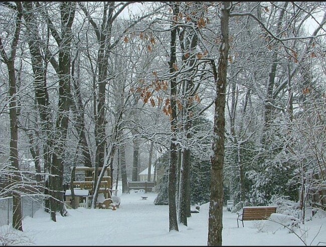 Foto del edificio - 545 Old Stage Rd