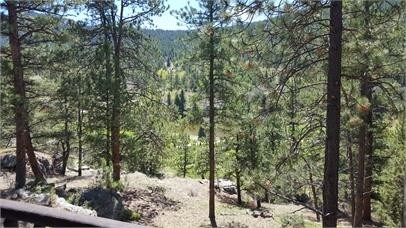 Foto del edificio - 33905 Upper Bear Creek Rd