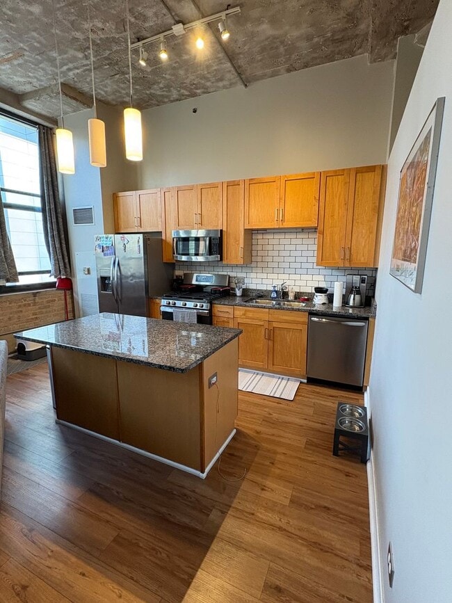 Building Photo - Includes a parking space! South Loop Chicago 1 Bed 1 Bath Apartment