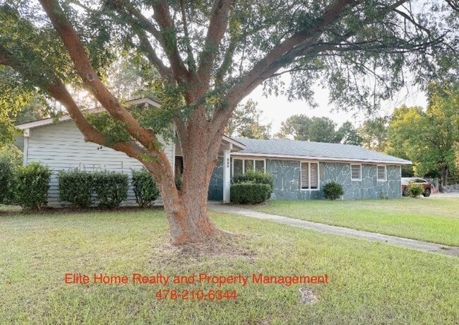 Building Photo - 233 Markwood Dr