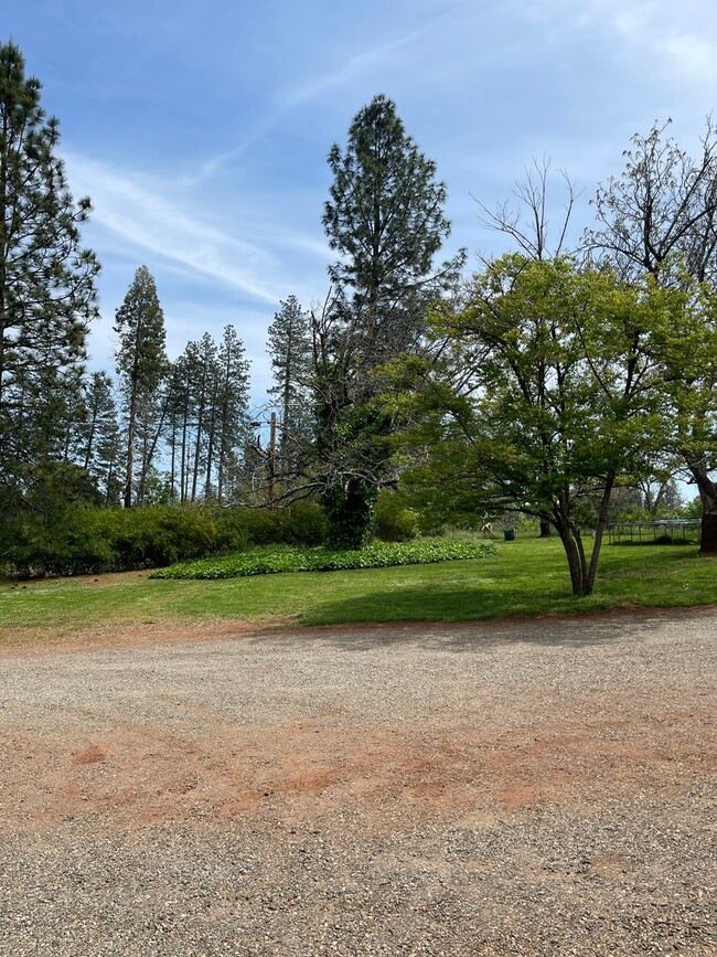 Building Photo - 6353 Forest Ln