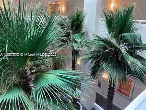 Foto del edificio - 3131 NE 188th St