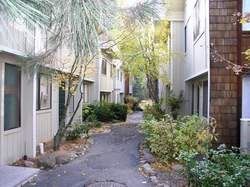 Primary Photo - 3 br, 2 bath Condo - Racquet Club 83