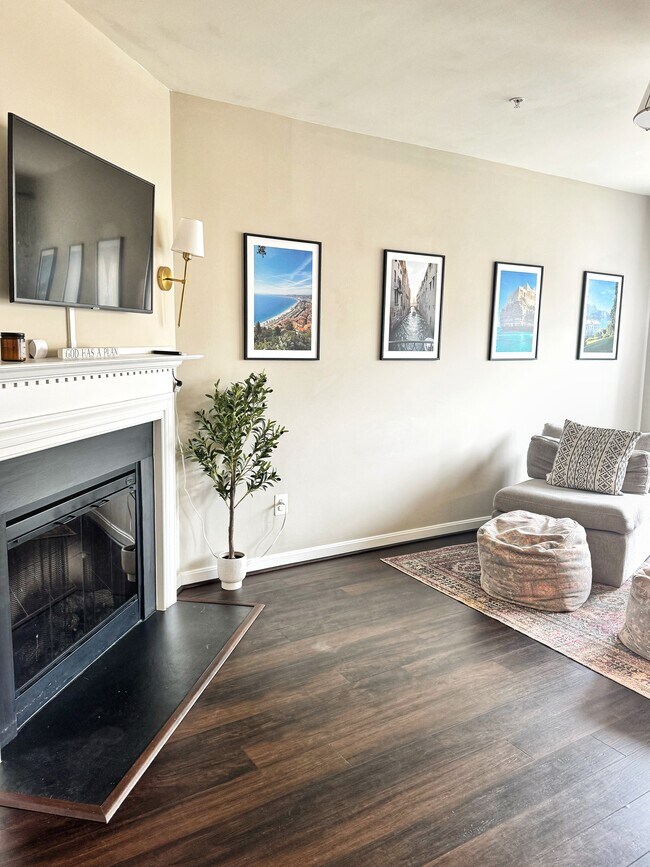 Gas-operated fireplace - 22795 Settlers Trail Ter