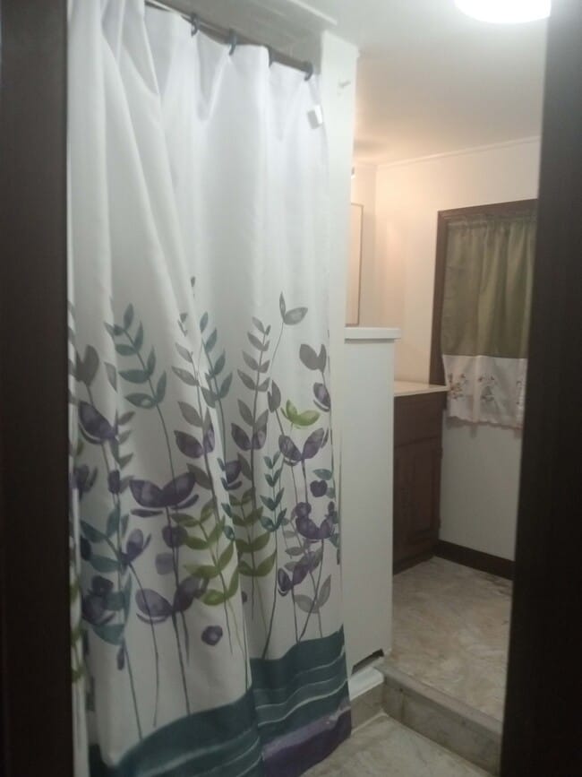 Bathroom-Shower - 4741 N Troy St