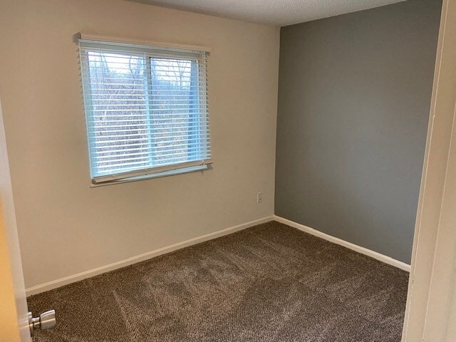 Interior Photo - NoRi