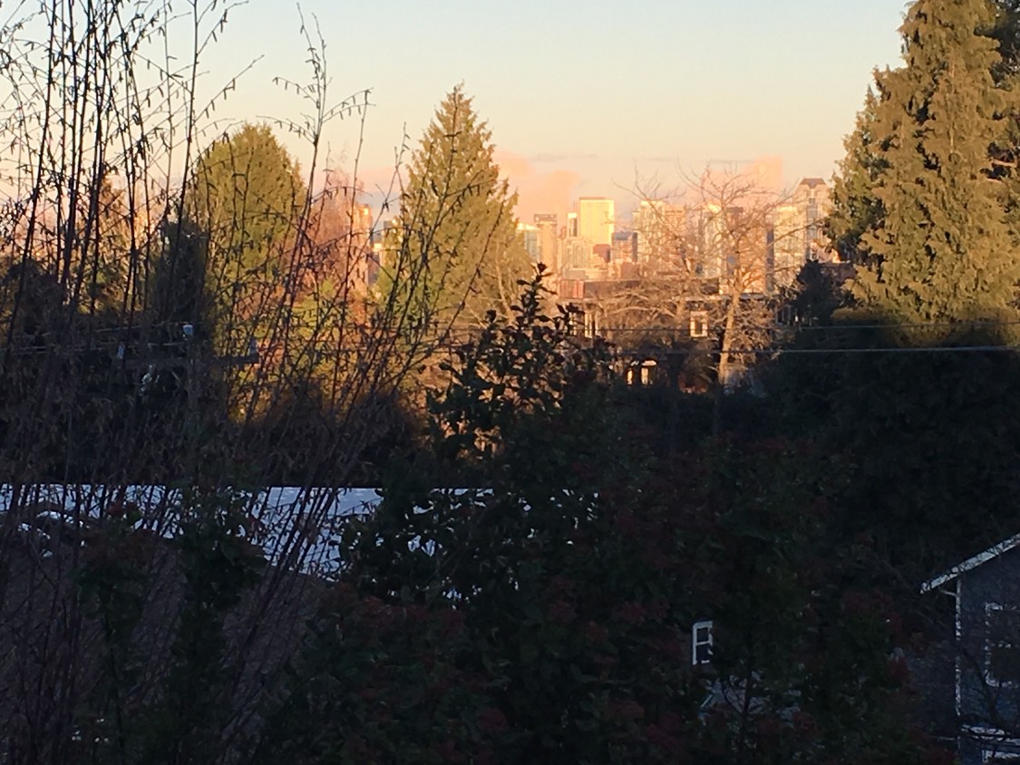Deck View - 1914 Ferry Ave SW
