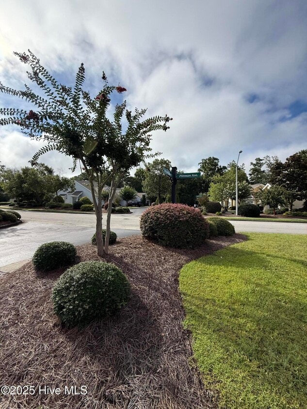 Building Photo - 103 Windchime Ct