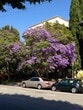 Primary Photo - 11930 Montana Ave