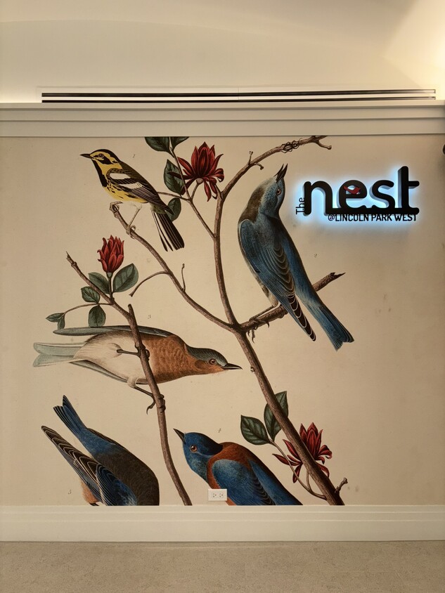 Primary Photo - The Nest at 2140 N Lincoln Park W