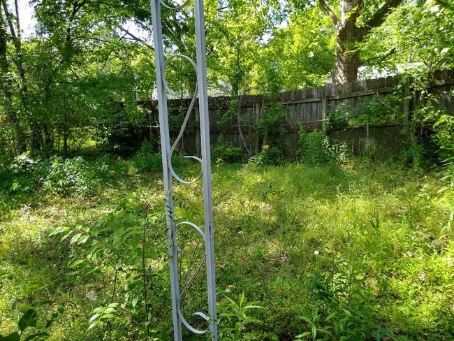 backyard right - 745 Iris Ln