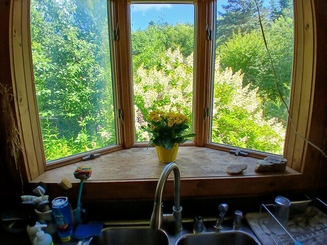 La cocina tiene vistas al jardín. - 115 Delta Dr