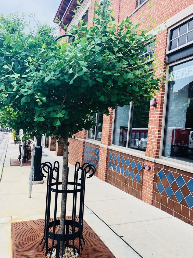 Foto principal - 322 N Henry St
