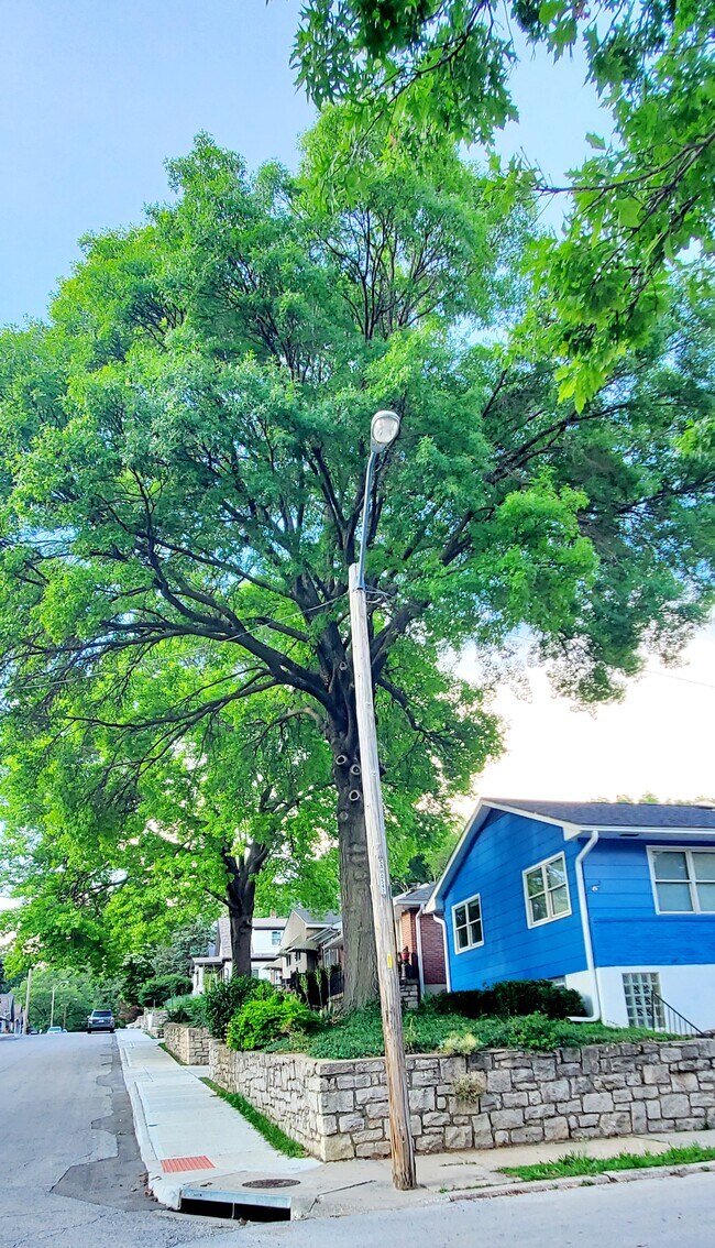 Foto del edificio - 4547 Wyoming St