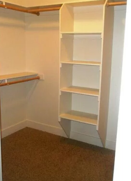 Building Photo - 3167 Spring Ridge Dr