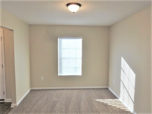 Foto del edificio - 2842 Taylor Hill Dr