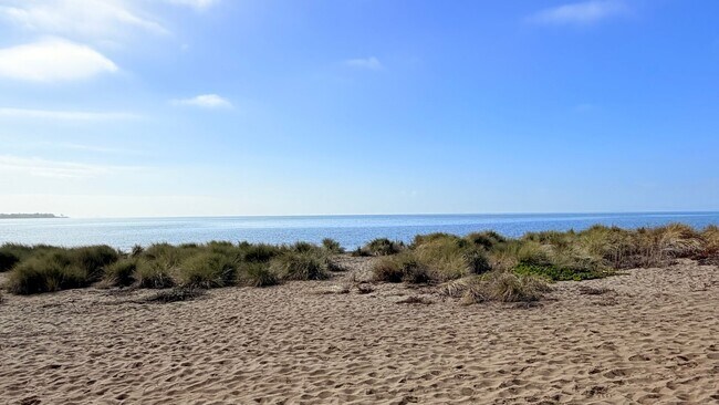 Foto del edificio - 2101 Shore Line Dr