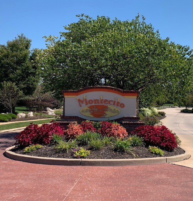 3324 Capri Way Unit Building 15, Saint Peters, MO 63304 Condo for