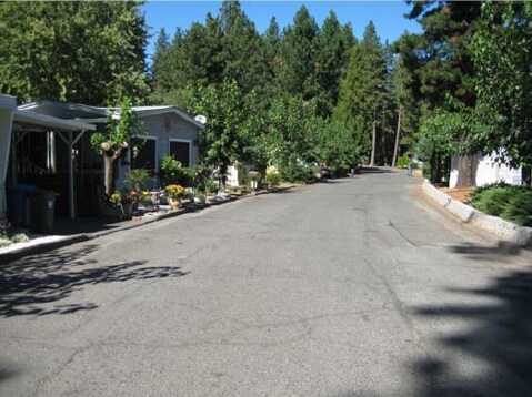 Primary Photo - Pine Grove MHC