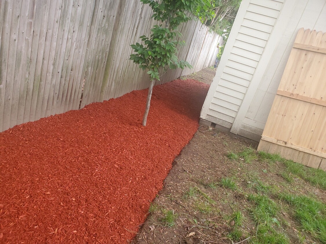 Back yard - 226 Bailey St