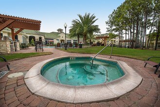 Chandler Park Apartment Homes photo'