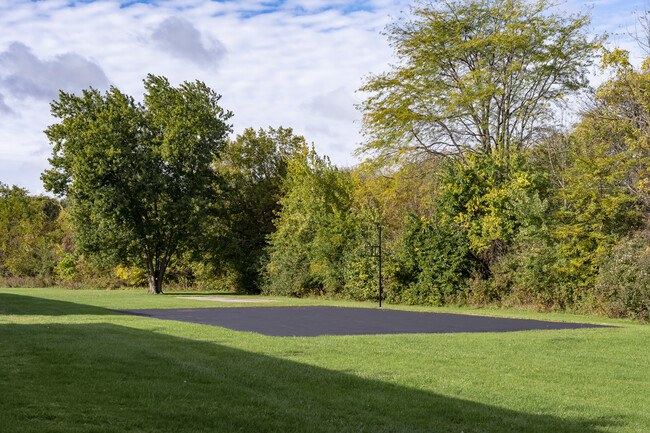 Basketball Court and Greenspace - Riverview Apartments