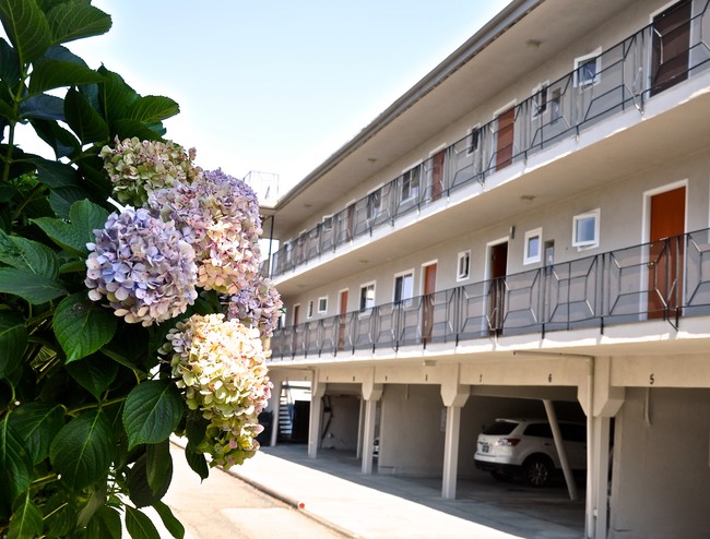 Foto del edificio - Santa Clara Apartment