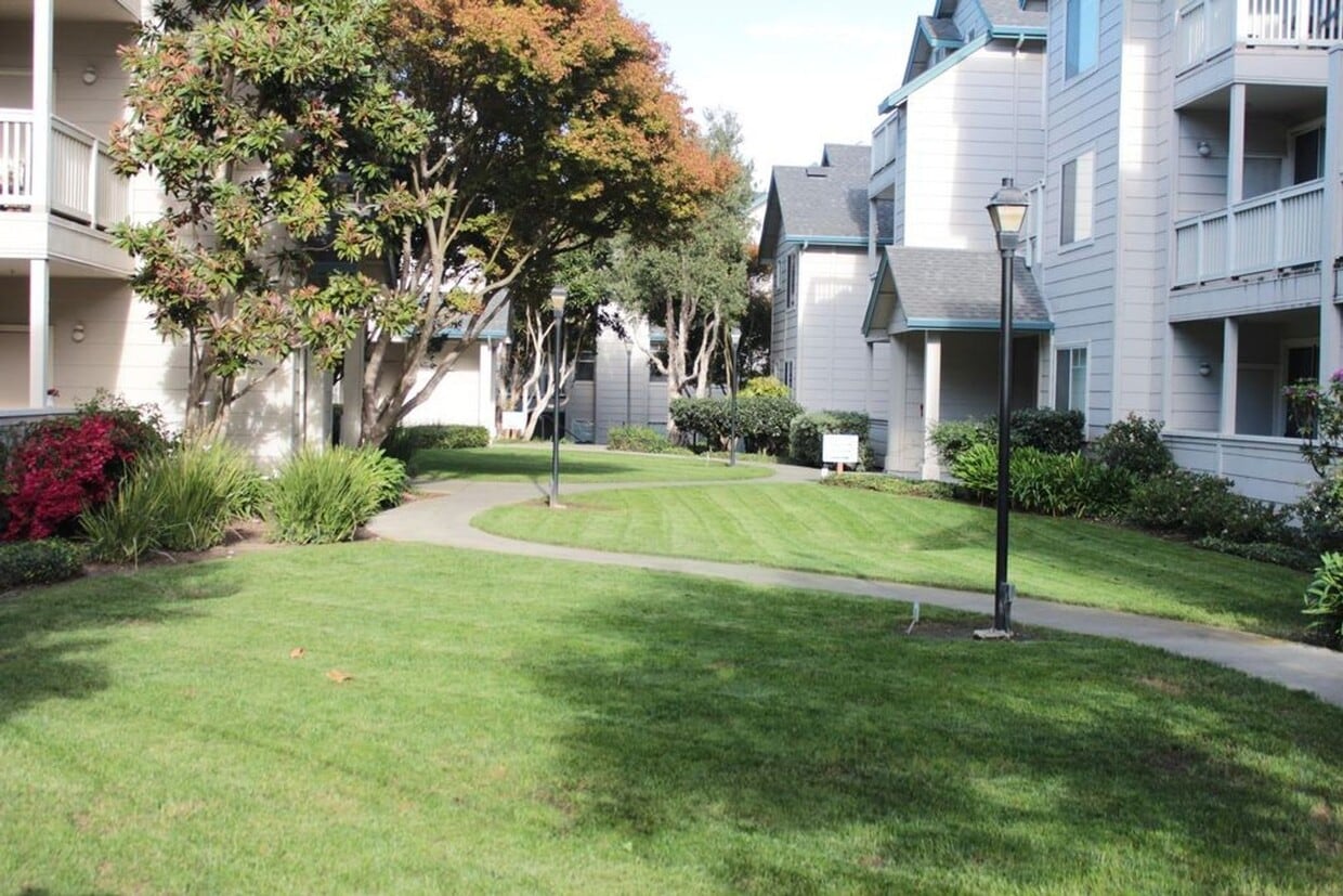 Ideal Location. .. Walk to Bart, Costco, S... - Ideal Location. .. Walk to Bart, Costco, S...