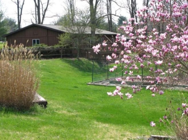 Duplex - 2054 Mount Tabor Rd
