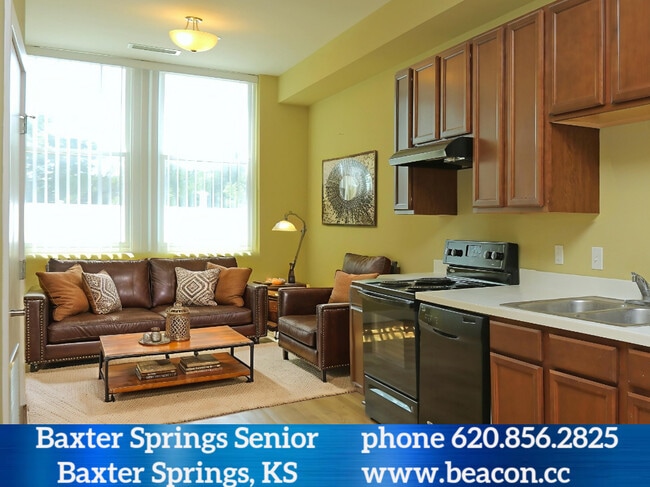 1 bedroom living area - Baxter Springs Senior Residences
