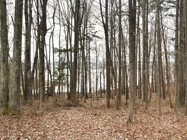 Building Photo - Furnished & All Inclusive Rental with Lake View-SHORT TERM LEASING!!