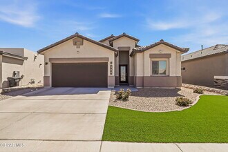 Building Photo - 334 Dursley St