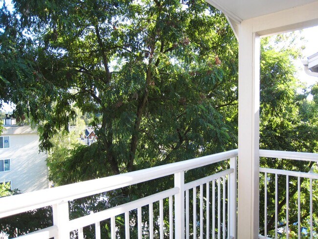 Foto del edificio - 2Bd/2Ba Seattle Condo