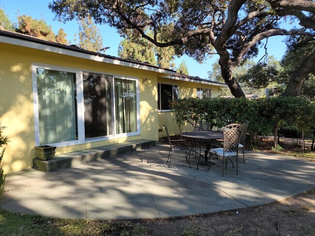 Shaded rear yard & patio - 1165 Pine Bluff Dr