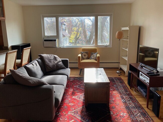 Living room - 111 Lee Ave