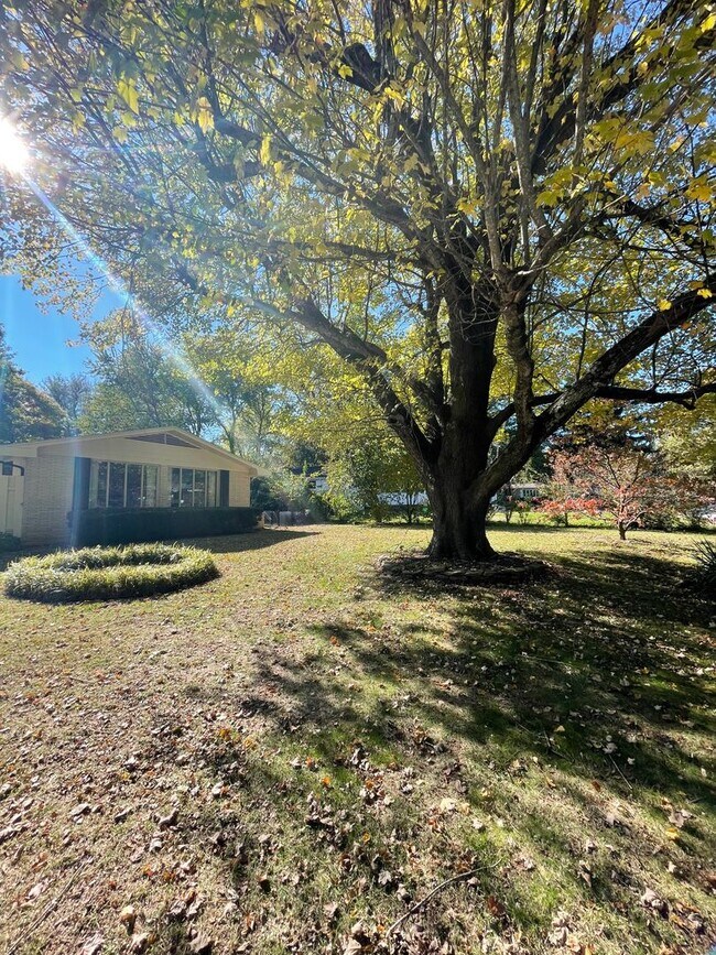Foto del edificio - Beautiful 3 bedroom 2 bath home located in Southern Hills Subdivision