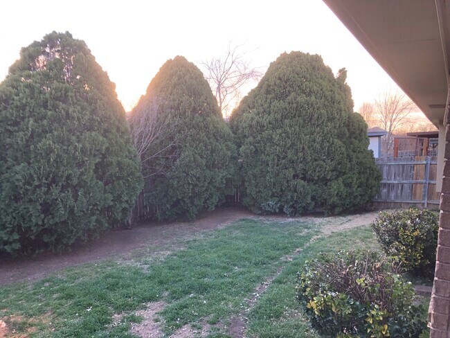 Foto del edificio - 10629 Holly Grove Dr