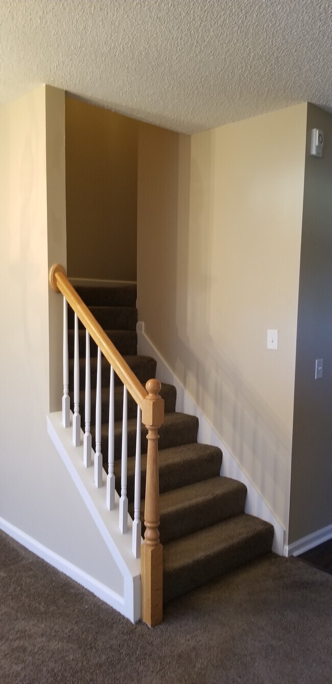 Building Photo - 203 Timber Wolf Trail