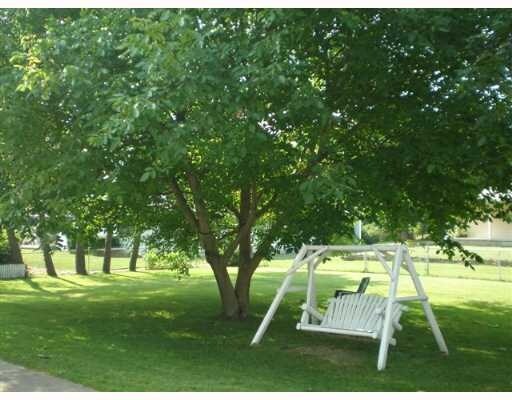 Yard - 2231 W Mount Hope Ave