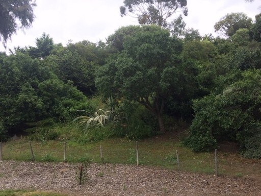 Foto del edificio - Three Bedroom Home in South Park!