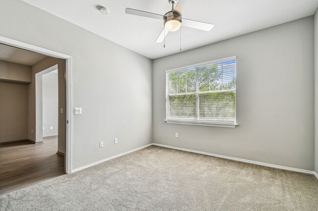 Building Photo - The Eli Winter Springs