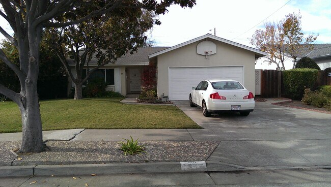 House view from street - 85 Welker CT