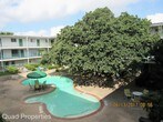 Foto principal - 4210 Red River St